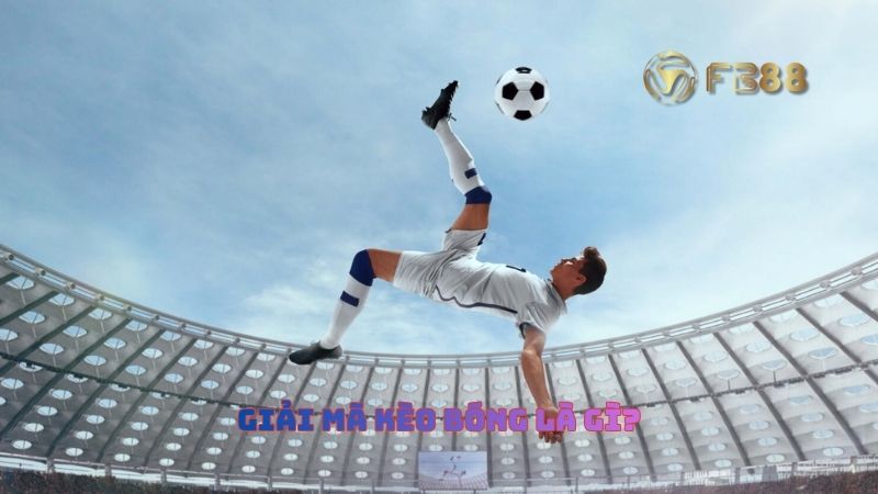 Chiến thuật cá độ hợp lý sẽ giúp anh em thắng lớn