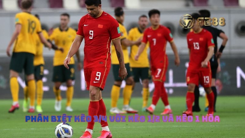 Phân biệt kèo 3/4 với kèo 1/2 và kèo 1 hòa